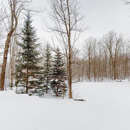 Jay Peak Village Home 367B Kültér fotó